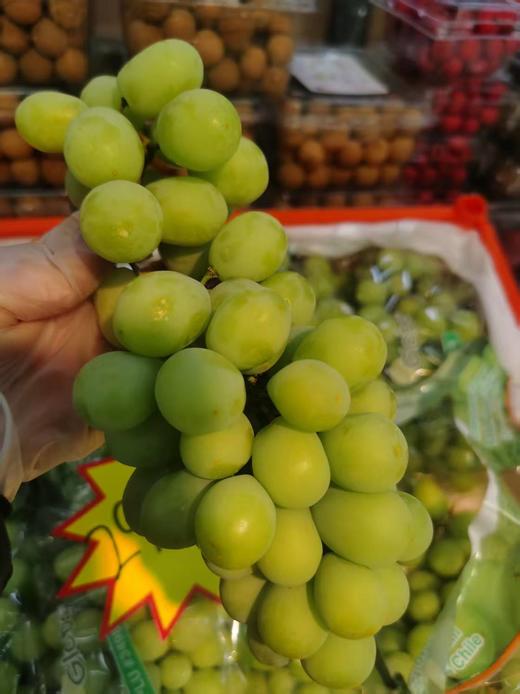 绿地球青提一斤 商品图0