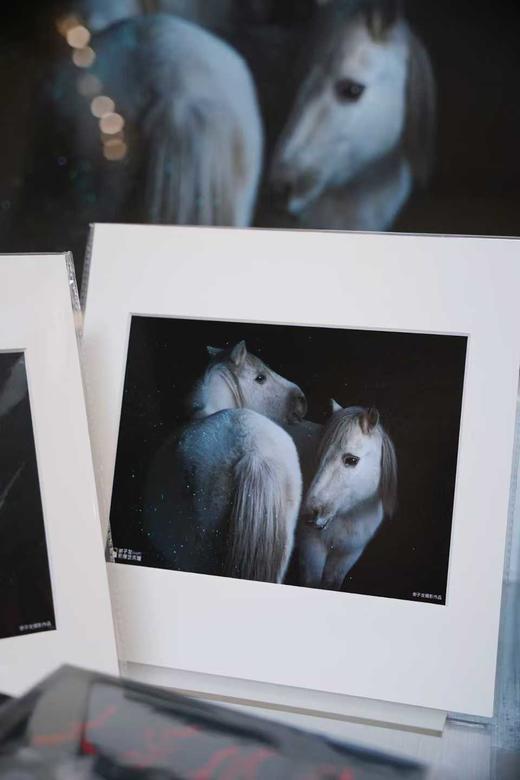 白马004版画 商品图0