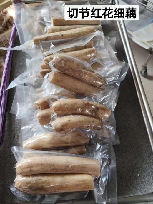 【珍品，开红莲花深泥的细莲藕】一年仅售这一季，错过再等一整年！五十年前老品种超粉糯莲藕 商品图5