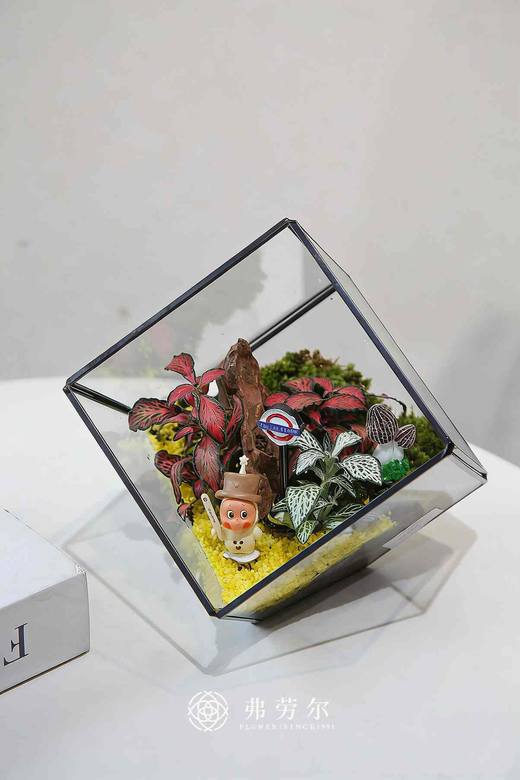 微景观小 商品图0