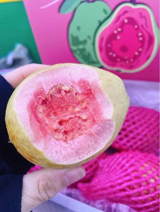 草莓芭乐一箱 商品图1