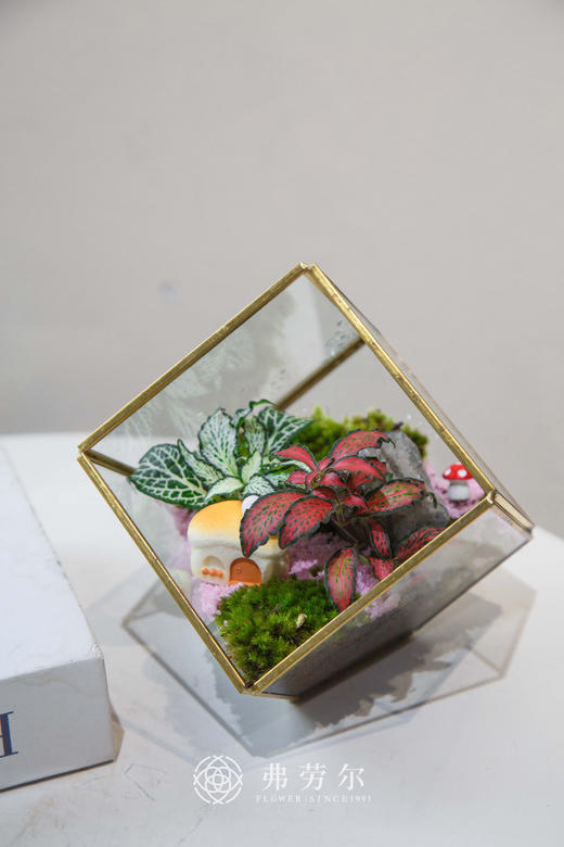 微景观小 商品图0