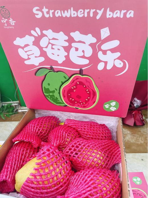 草莓芭乐一箱 商品图0