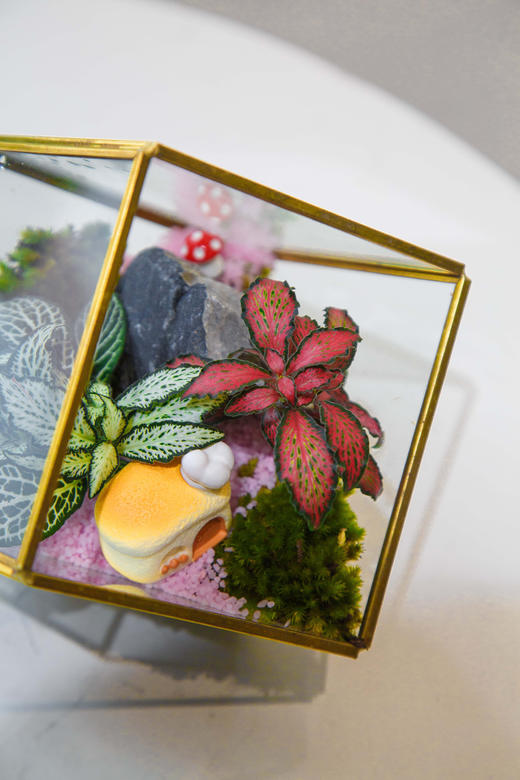 微景观小 商品图2