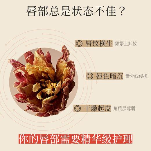 国韵淡纹柔润精华唇霜正装，改善唇纹，日打底夜滋润，如收到产品不喜欢请不要拆开外包装【答摩】 商品图1