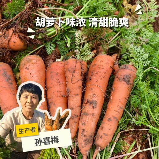 生态山东胡萝卜 | 合作生产* Eco-asparagus | Partner Production 商品图0