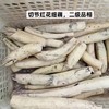 【珍品，开红莲花深泥的细莲藕】一年仅售这一季，错过再等一整年！五十年前老品种超粉糯莲藕 商品缩略图4