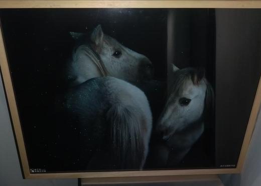 白马004海报 商品图0