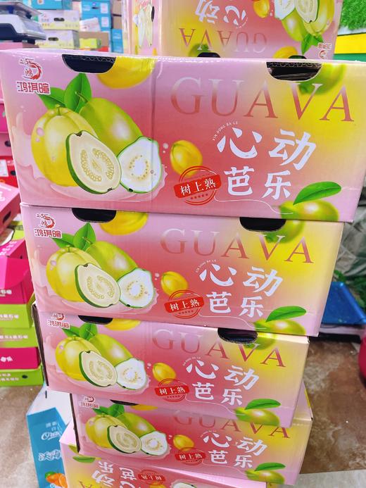 奶油芭乐一箱 商品图0