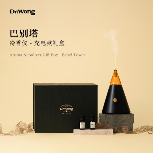 「巴别塔」冷香仪（充电款）-礼盒装 商品图0