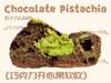 巧克力开心果软欧（12点出炉送） 商品缩略图1