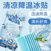 【秒杀】沃姆冰凉贴10贴/袋 商品缩略图0