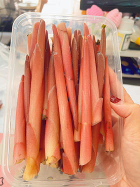 郧阳青曲阳荷笋500g