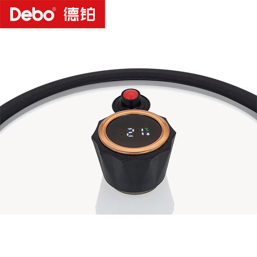 Debo德铂-嘉尼特温显微压锅4.2L搪瓷珐琅 华丽微压烹饪 商品图12