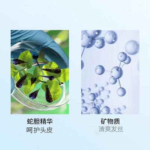 【秒杀】隆力奇蛇胆清爽洗发水400ml 商品图1