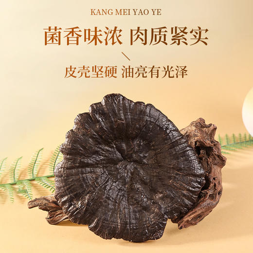 康美灵芝100g/盒礼盒 赤芝正宗安徽产地煲汤煮水泡茶滋补养生送礼 商品图3