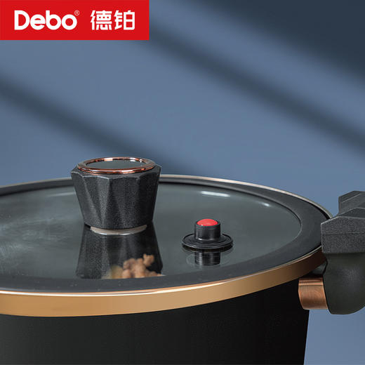 Debo德铂-嘉尼特温显微压锅4.2L搪瓷珐琅 华丽微压烹饪 商品图6