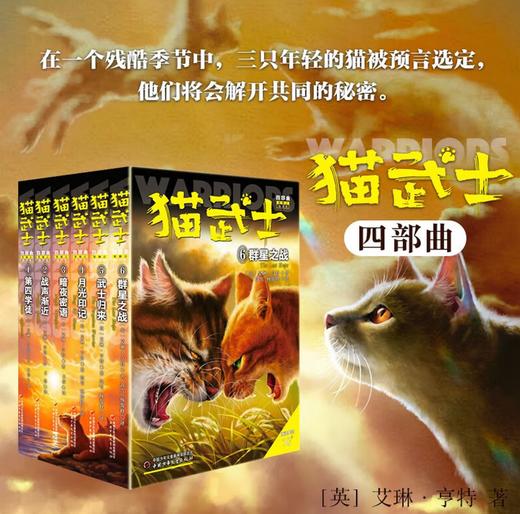 猫武士六部曲（6）——风暴来袭 商品图0