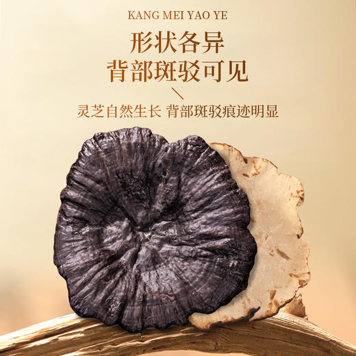 康美灵芝100g/盒礼盒 赤芝正宗安徽产地煲汤煮水泡茶滋补养生送礼 商品图4