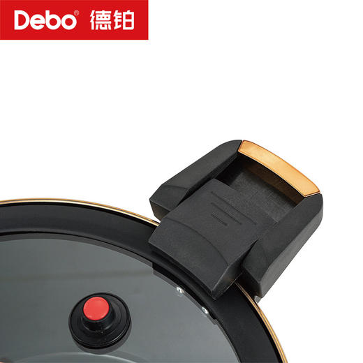 Debo德铂-嘉尼特温显微压锅4.2L搪瓷珐琅 华丽微压烹饪 商品图11
