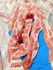 【周三到】新鲜黑猪现杀仔排1.8-2.0斤 🥩🥩超级好吃的仔排！ 🥩香到舔盘🤭，真的巨巨巨好吃🤩！ ❤️🔥沂蒙山新鲜纯仔排，绝对满足你的味蕾！🐷 商品缩略图3