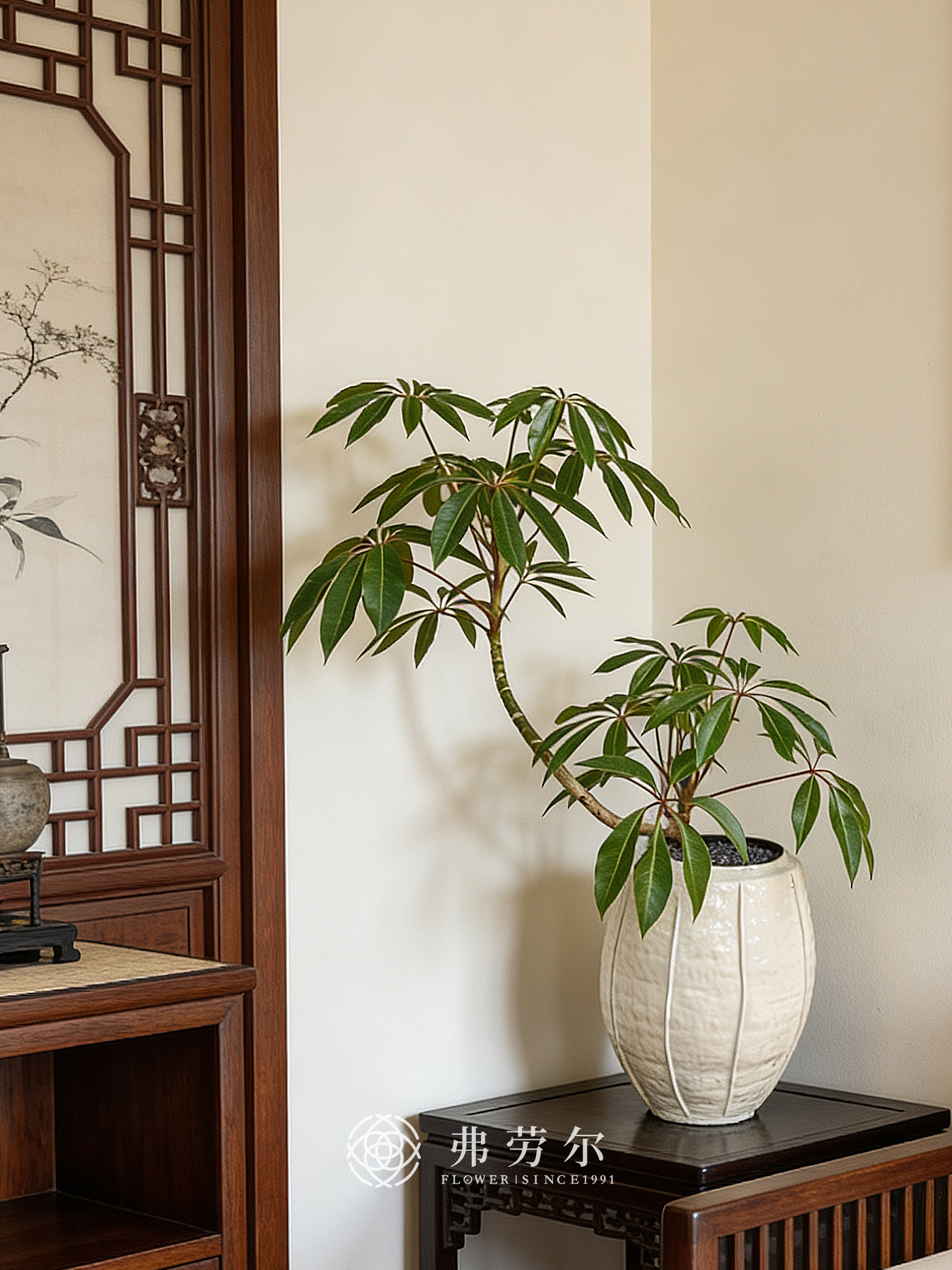 白盆造型台面保罗