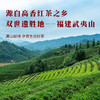 八马茶业·一品骏眉·武夷红茶200g 商品缩略图2