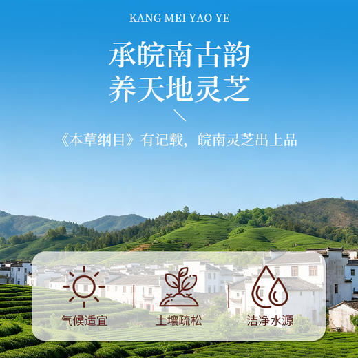 康美灵芝100g/盒礼盒 赤芝正宗安徽产地煲汤煮水泡茶滋补养生送礼 商品图2