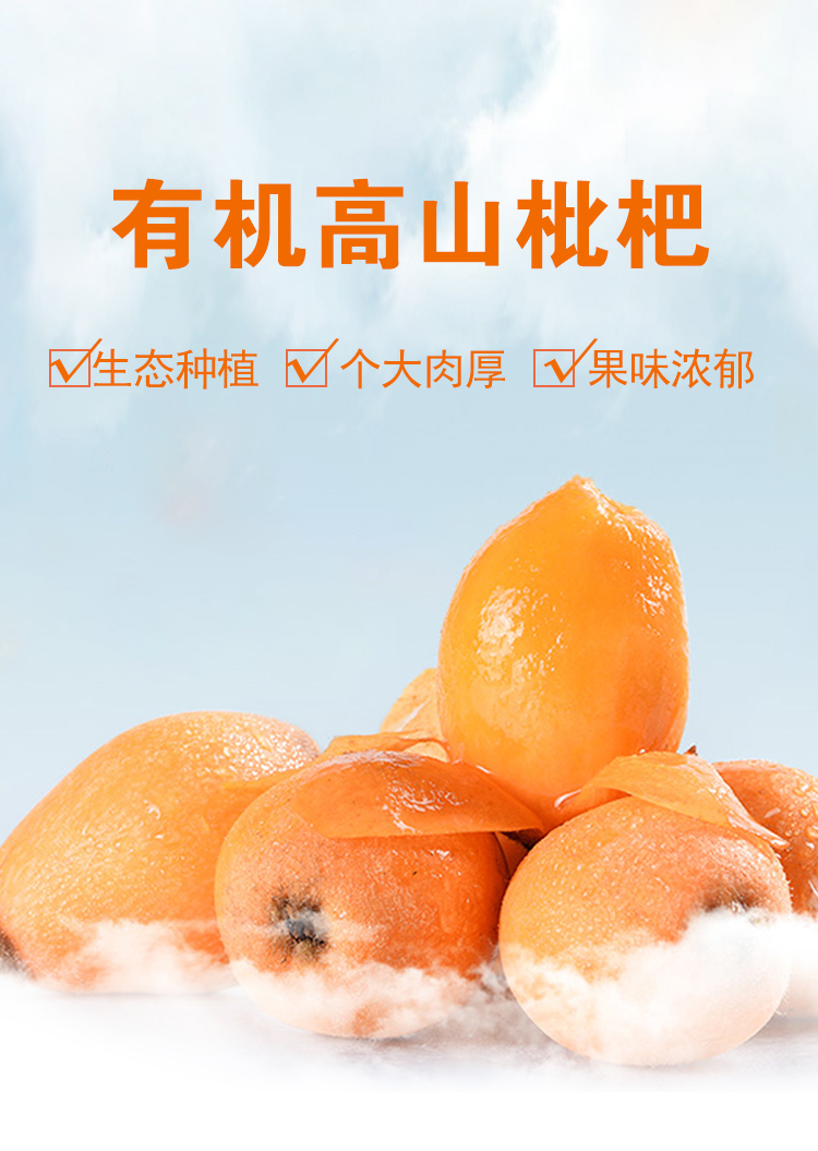 攀枝花米易早春有机枇杷