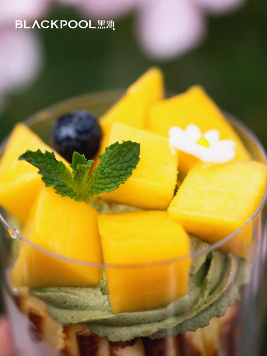 （配送到家）春果集·鲜果四味巴斯克 商品图4