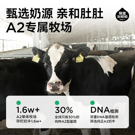 【踏春开学季】【秋田满满】隔壁刘奶奶A2β酪蛋白mini纯牛奶125ml*9盒装 亲和肚肚 适合乳糖不耐受宝宝 直接选购！ 商品图3