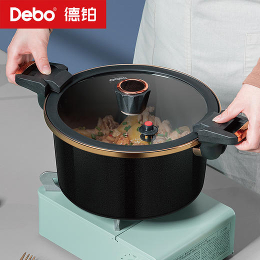 Debo德铂-嘉尼特温显微压锅4.2L搪瓷珐琅 华丽微压烹饪 商品图0