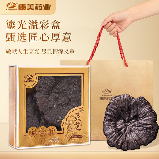 康美灵芝100g/盒礼盒 赤芝正宗安徽产地煲汤煮水泡茶滋补养生送礼 商品图1