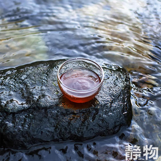 【效期至26年7月22日】艾草植物沐浴露220ml｜明树堂 商品图4