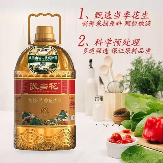 【湖北安舜食品公司】武当花初榨·特香花生油 5L/壶 商品图0