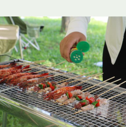 NMPEAK领攀大师便携户外烧烤炉NM-1203 商品图1