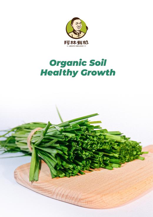 有机韭菜500g 商品图0