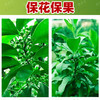 海精灵保花保果升级版套餐果树蔬菜植物生长调节剂防落果膨果靓果 商品缩略图3