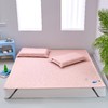【远梦】清椰柔感凉席二/三件套 商品缩略图3