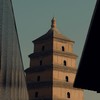 长安漫时光-西安双动纯玩4日游【邻居专团】 商品缩略图7