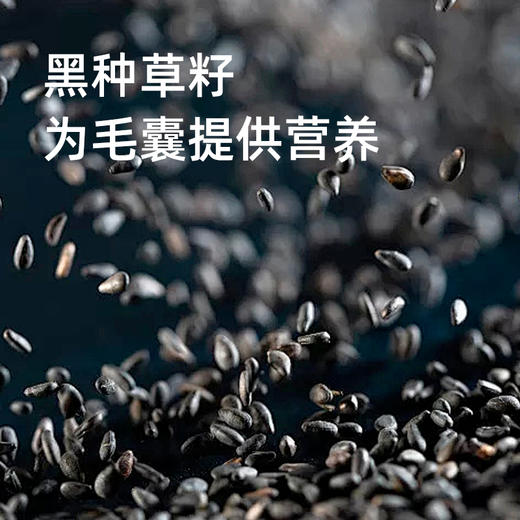 韩国进口纳特丽黑籽夜间修护洗发水/护发素 500ml/瓶 商品图3