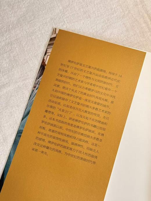 佛罗伦萨的第一束光 : 从乔托到达·芬奇 王静宜 著 商品图1