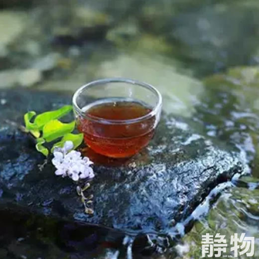 侧柏植物洗发水220ml｜明树堂 商品图3