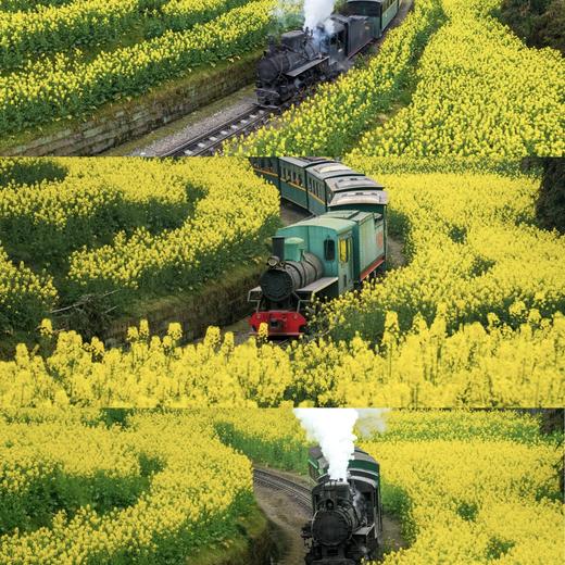 嘉阳小火车&金口河大峡谷-纯玩2日游【邻居专团】 商品图1