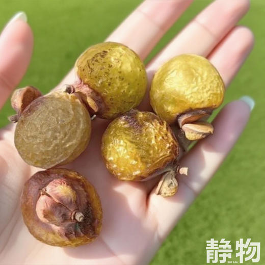 无患子植物洗发水220ml｜明树堂 商品图3