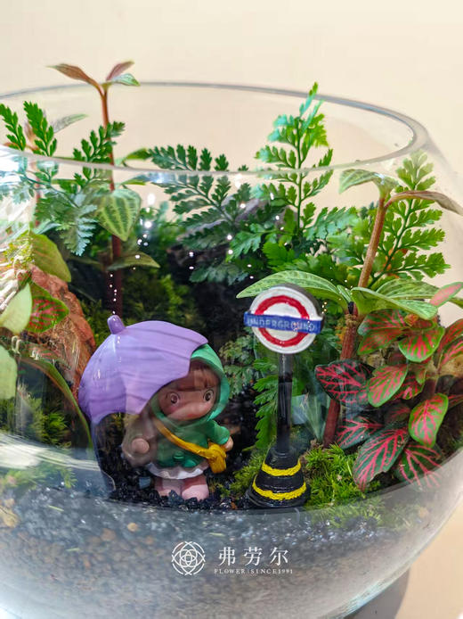 圆形微景观 商品图1