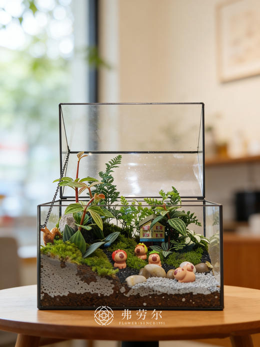 微景观 商品图0