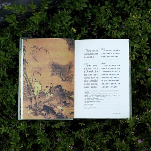 全本全注全译全彩图本：《世说新语》（精装·全三册） 商品图7