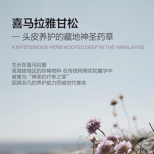 韩国进口纳特丽洗发水500ml/瓶 【去屑止痒|清凉酷爽|咖啡因防断发】 商品图2