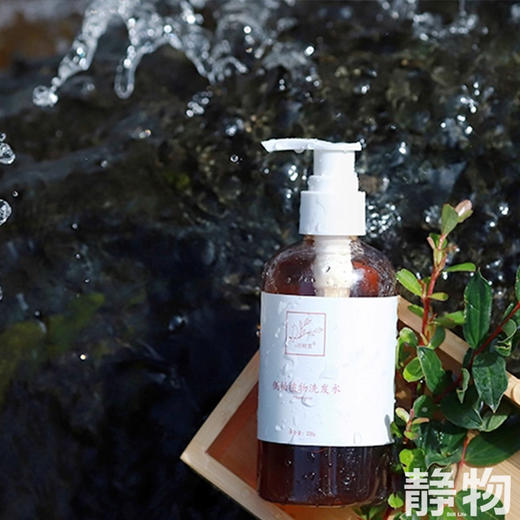 侧柏植物洗发水220ml｜明树堂 商品图1